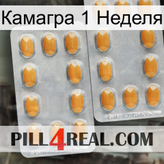 Камагра 1 Неделя cialis4